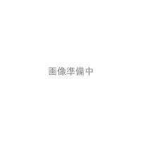 画像準備中